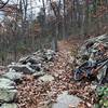 This trail has some technical sections.  The leaves hide a lot of the holes making it hard to pick a good line.