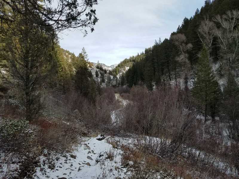 Looking up Burns Creek Canyon