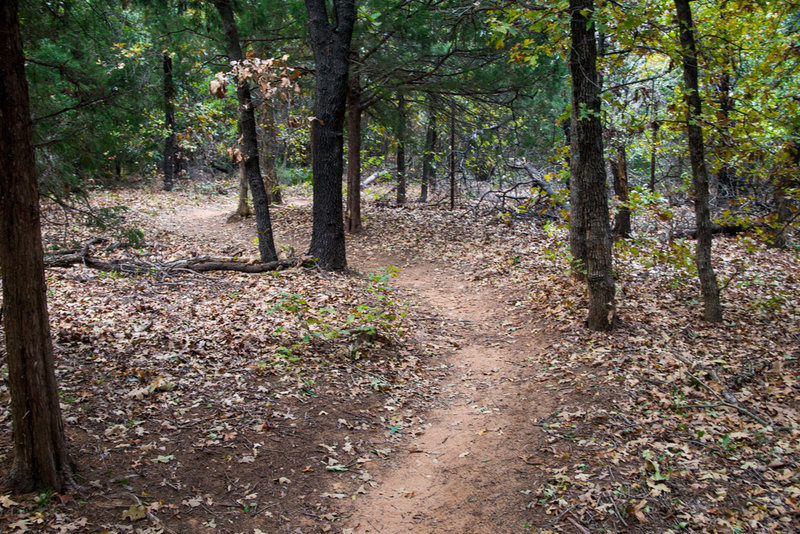 Red trail west of the park office.