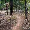 Red trail west of the park office.