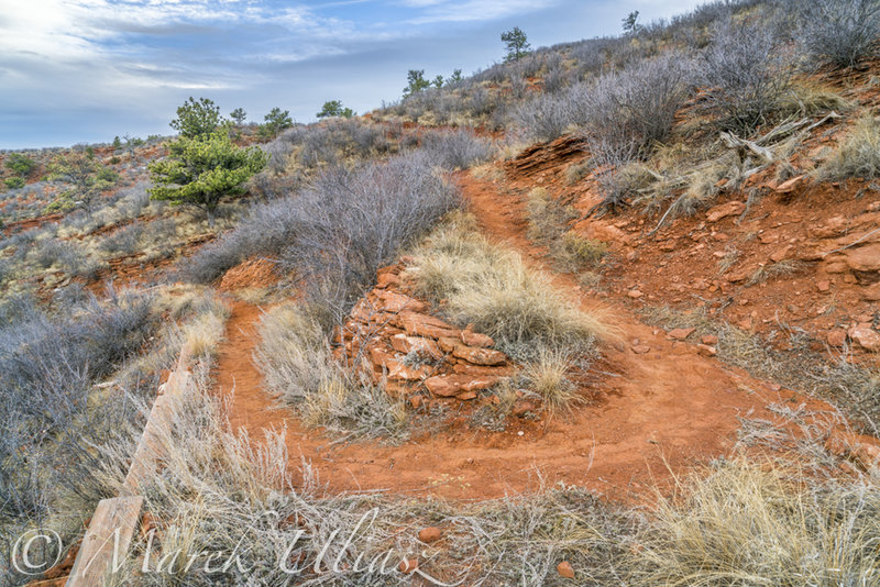 Switchbacks of K-Lynn Cameron Trail in Red Mountain Open Space, mid November