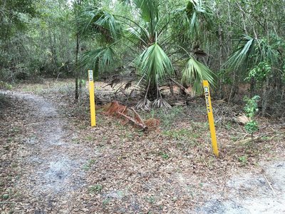 Trail intersection
