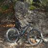 The Stumpy resting up against a large boulder of cheese grater limestone with prickly pear cacti along the P2P Trail