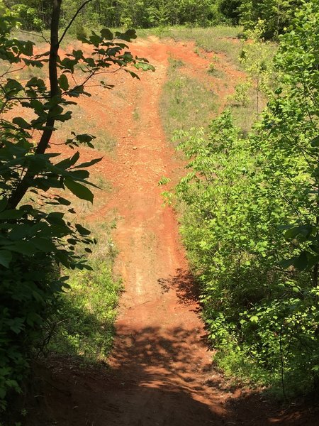 View from the top of the "Plunge"