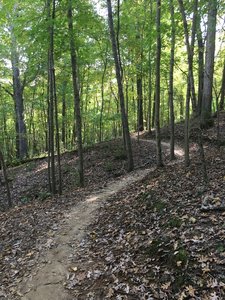 Gradual climb to the top is fast coming back down.