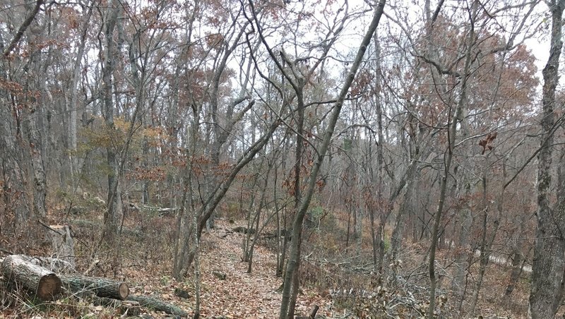 Varied terrain of the Oxen Mill Trail.