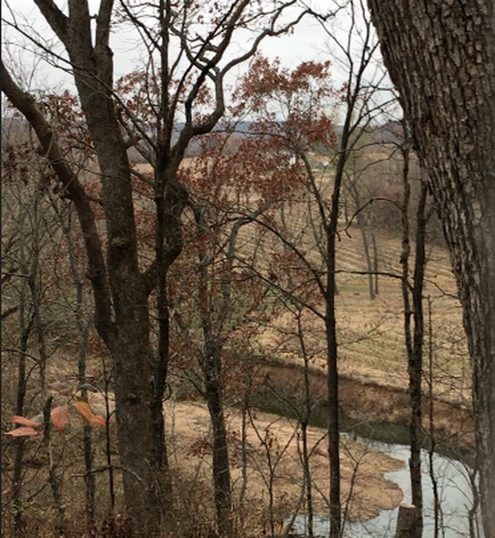 Nice view from the ridge on Oxen Mill