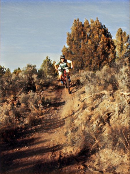 Rift Valley Trail during November