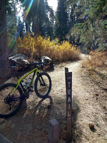 singletrack start  at Hanna Flat campground.  no suspension needed on this trail.  just a bit sandy in places