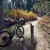 singletrack start  at Hanna Flat campground.  no suspension needed on this trail.  just a bit sandy in places