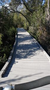 Was surprised at how nice the bridges were.