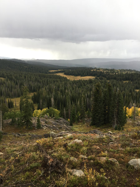 Threatening skies as the trail nears the top of Mount Werner