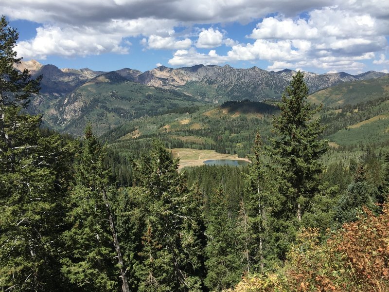 View to Forest Lake