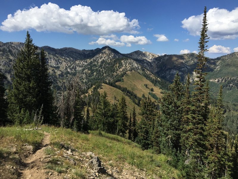 Looking north at the final climb, with Alta and Brighton on the other side