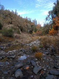 Creek on middle ridge trail currently has water flowing in it.