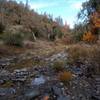 Creek on middle ridge trail currently has water flowing in it.