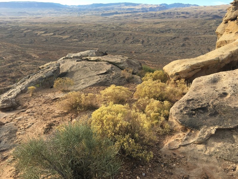 Overlooking Bearclaw Poppy Preserve.