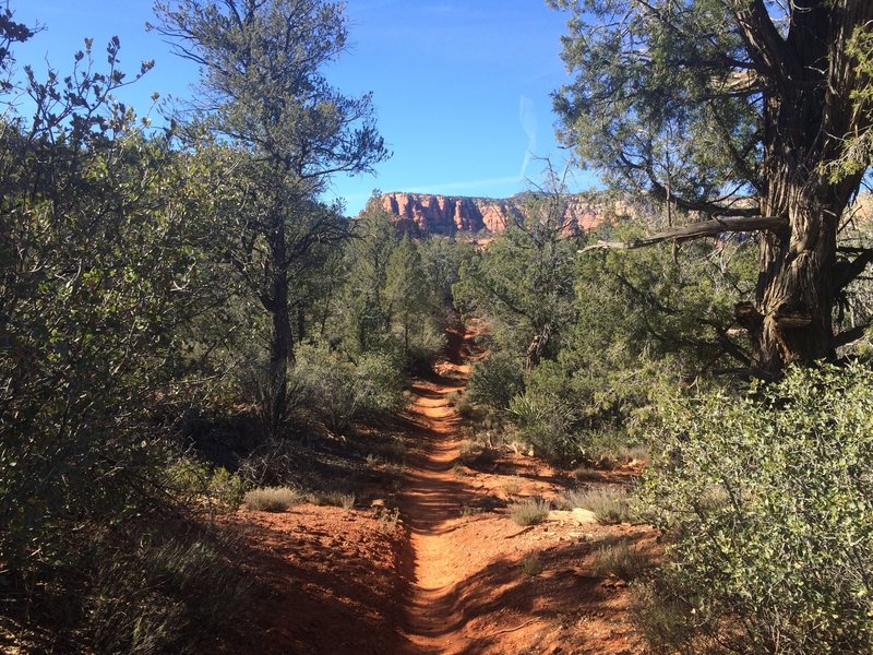 Cockscomb Trail close to Dawa Trail