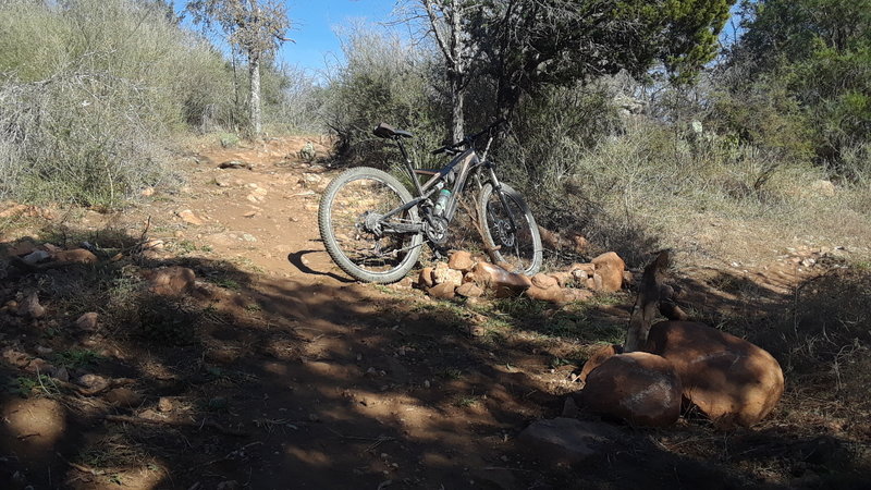 At the bottom of Texas Enduro Cup's Sweetskull, the Race Loop takes a sharp right