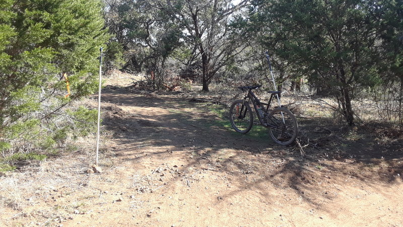 The start of the Beginners Loop (Carry the Load) reroute around the retention pond