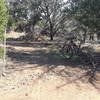 The start of the Beginners Loop (Carry the Load) reroute around the retention pond