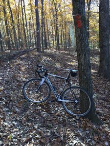 Molly's Bluff is a singletrack segment that is the most challenging part of this ride.