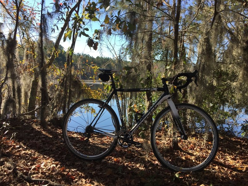 Swamp and spanish moss (on road after the main trail ends).