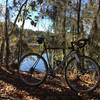 Swamp and spanish moss (on road after the main trail ends).