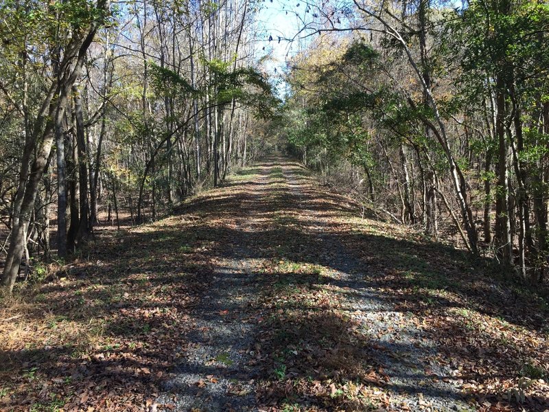 Rails to trails through the swamp