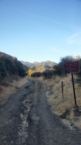 The entrance to Bulldog Motorway