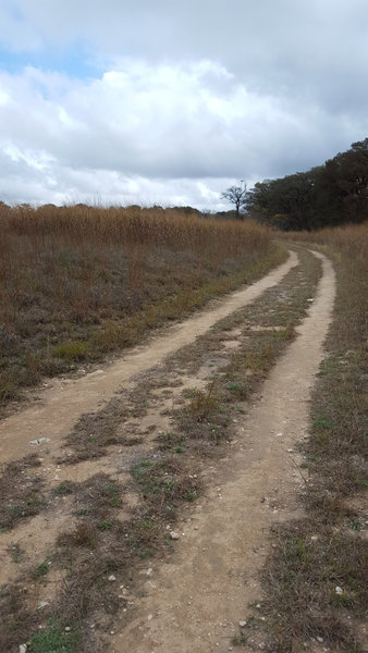 Connects Cibolo Trail to Cibolo Nature Center.