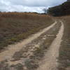 Connects Cibolo Trail to Cibolo Nature Center.