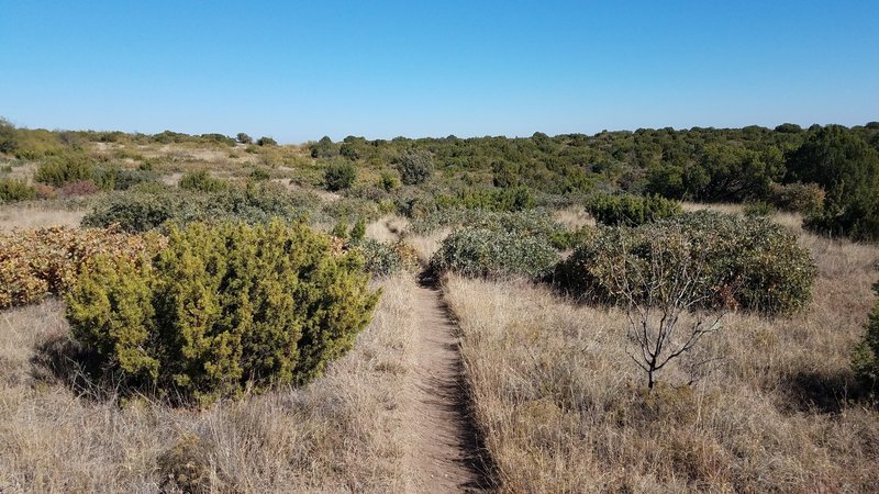 top of the canyon