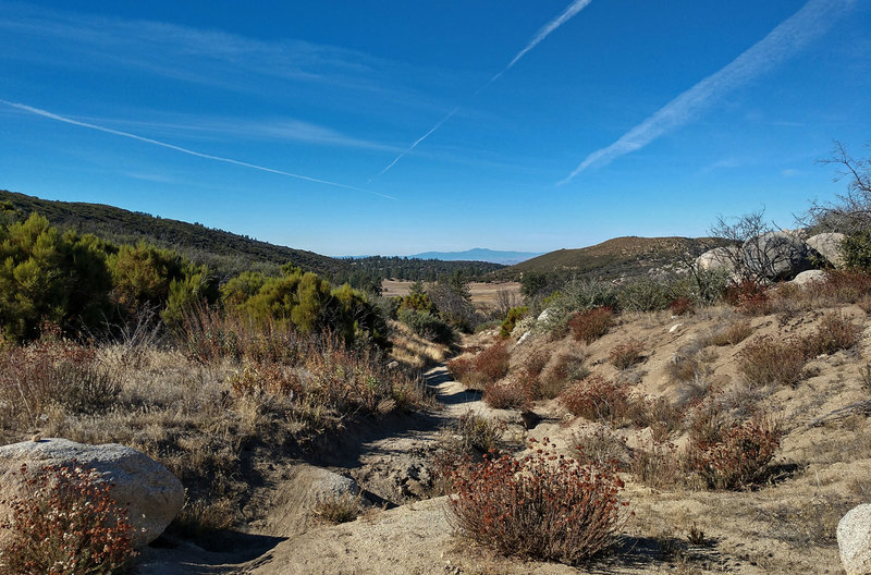 Johnson Meadow at the fireroad.