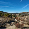 Johnson Meadow at the fireroad.