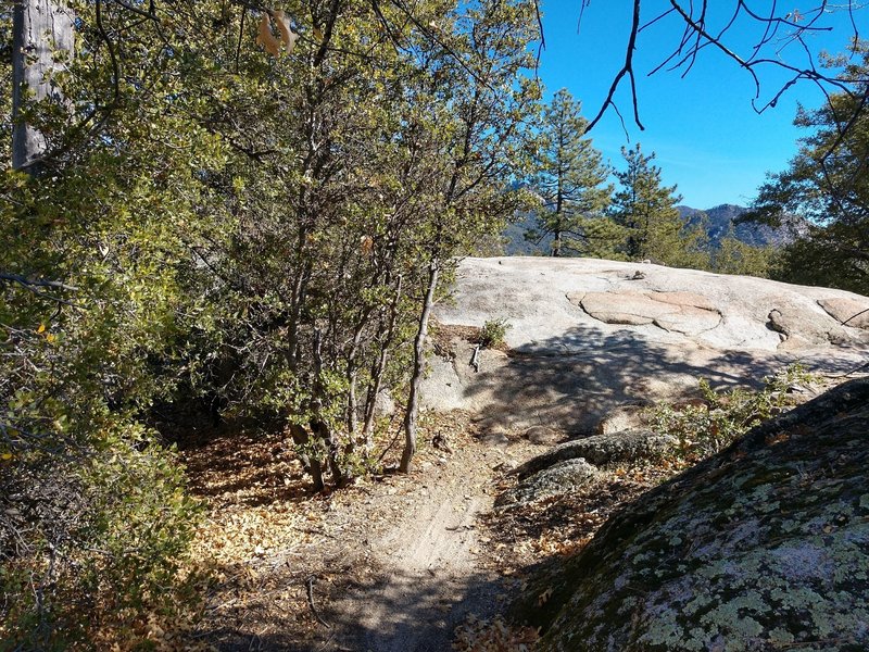 Snakeskin...quite a bit of boulder action to be had on this trail.