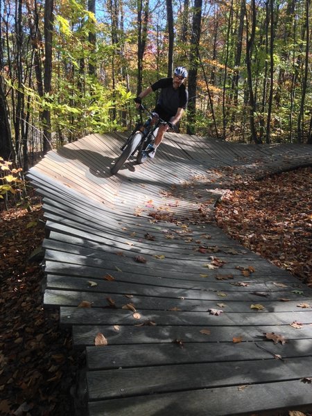 Centrifuge Bridge on Underdog...1 of 7 "Bridges" in the park...all well made out of Trex decking