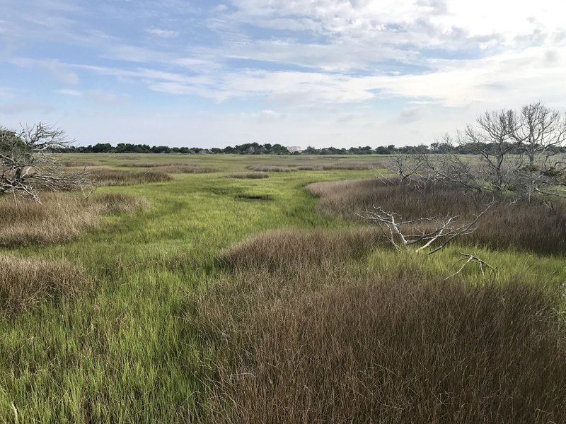 Ft Macon wetlands