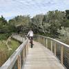 One of many Ft Macon tidal boardwalks through wetlands