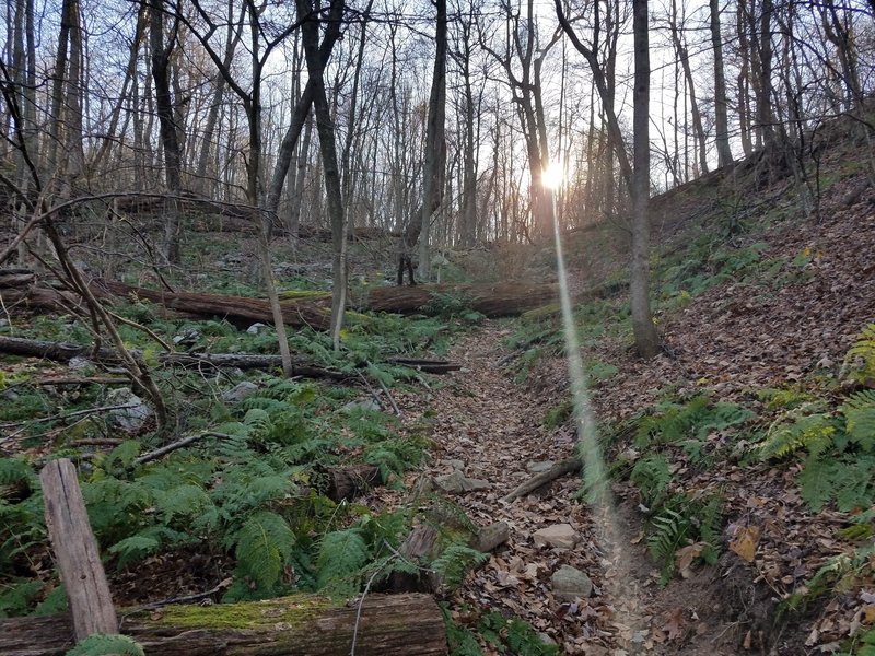 The drop in the top of Racer Hollow