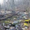 Rock garden where the run crosses.