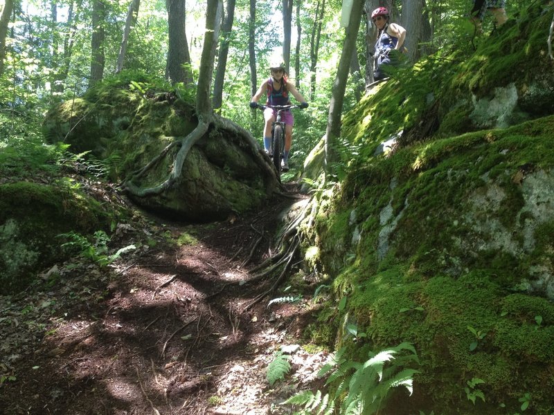 Voodoo Rocks Trail - one of many interesting features!