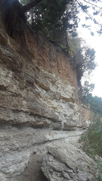 The Gnar-Wall Trail along the bank of the Tar Branch