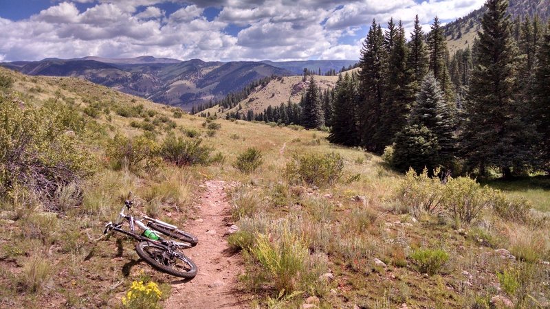 Summer 2015 - Final descent on Deep Creek out of pine forests