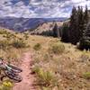 Summer 2015 - Final descent on Deep Creek out of pine forests