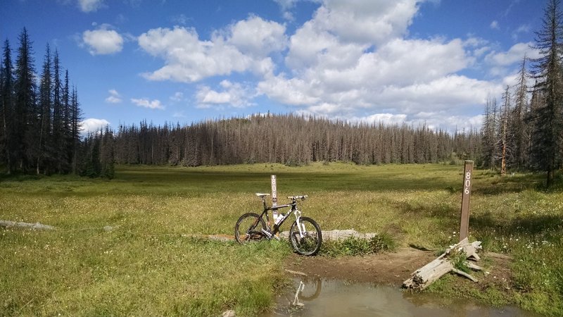 Top of Deep Creek Trail