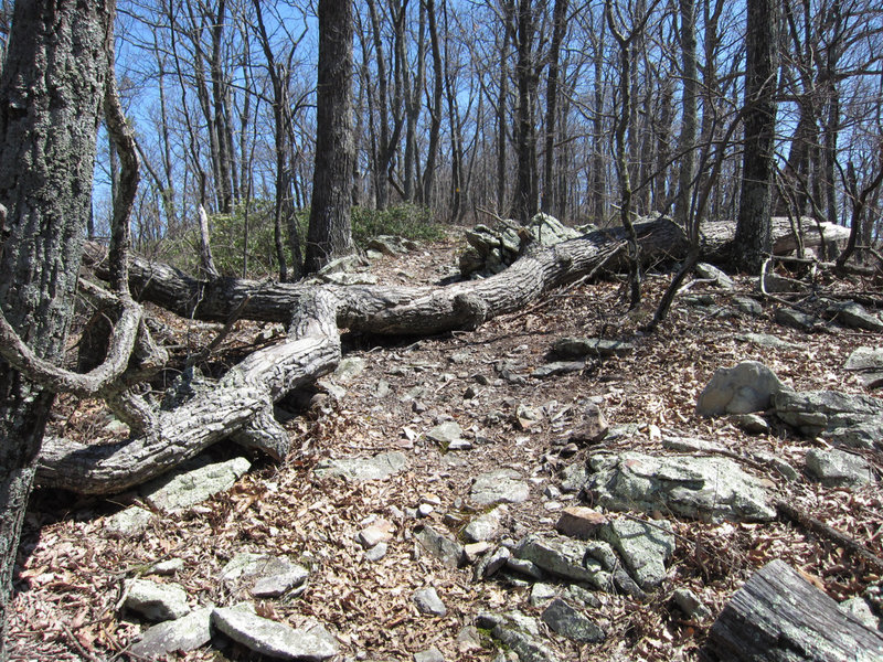 North Mountain rocky ridge