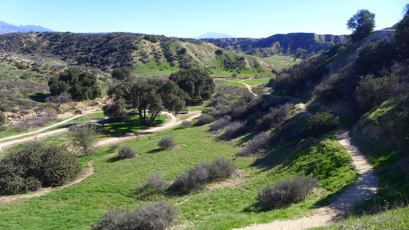 Climbing Oakridge Trail