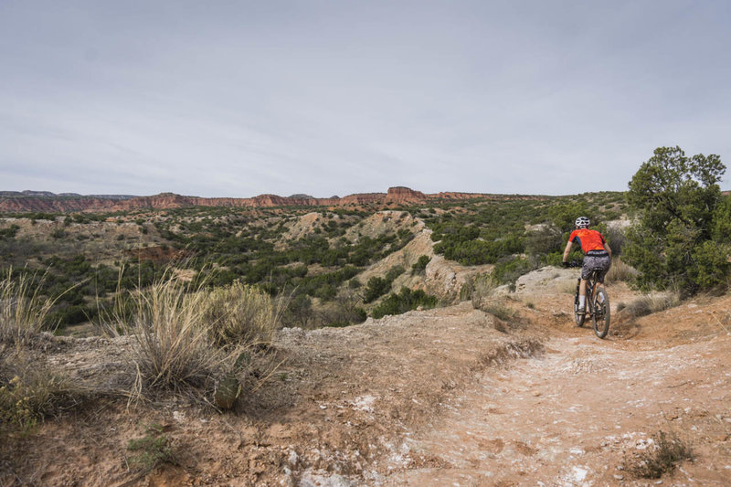 Awesome views of the canyon walls in the distance from Mesa Spur Trail.