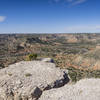 A lonely tree at the Fractures in the Rock overlook